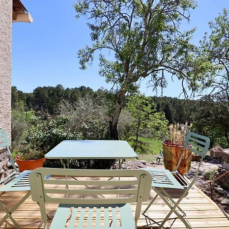 Le Mas Des Rouquets - Avec Piscine Et Jardin Anduze Luaran gambar